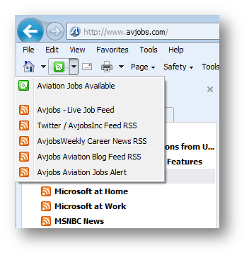 the ORANGE RSS icon or the GREEN Web Slices icon